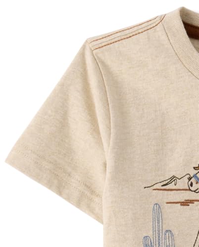 Image of Gymboree Boys' and Toddler Embroidered Graphic T-Shirt