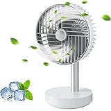 11.6-Inch 120°Oscillating Small Fans, 4000mAh Battery Operated Desk Fan with 4 Speeds, Super Strong Airflow Quiet USB Rechargeable Table Fan for Office, Home, Kitchen, Picnic, Camping