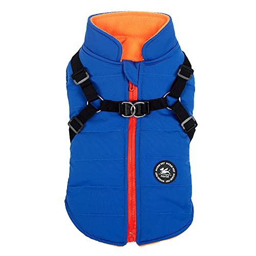 10 Best Dog Jacket With BuiltIn Harness