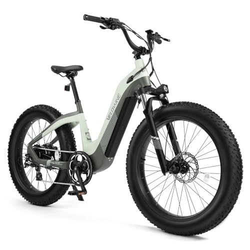 VELOWAVE Electric Bike for Adults 48V 20AH 750W Bafang Motor