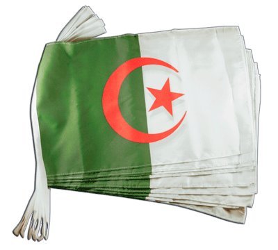 Guirlande Algerie Digni Geant 8,9 m pour décorer de grands espaces sans raccordement fragile