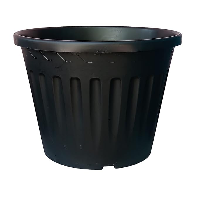 See full amazon price history chart for Ashokavanam Premium 14-Inch Injection Molded Plant Pots – Durable and Stylish Containers for Lush Indoor and Outdoor Gardens (Set of 10) Ashokavanam Premium 14-Inch Injection Molded Plant Pots – Durable and Stylish Containers for Lush Indoor and Outdoor Gardens (Set of 10) (B0CQXGR77H) Amazon Price History, Amazon Price Tracker