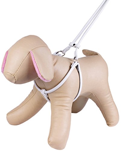 Collardirect Rolled Leather Dog Harness Small Puppy Step-In Leash Set For Walking Pink Red White Blue Green Black Purple Beige Brown Yellow (White, Xs) #TOP2