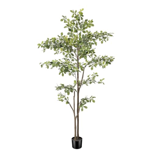 PHYTREE Black Olive Tree 6ft, Artificial Shady Lady Tree with