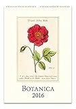 Cavallini Papers & Co CAL16-19 2016 Botanica Wall Calendar