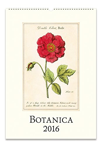 Cavallini Papers & Co CAL16-19 2016 Botanica Wall Calendar