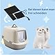 BOBOZHONG Carbon Geruchsfilter,6 Stück Aktivkohlefilter Katzenstreukästen,Ersatz-Kohlefilter für Katzentoiletten,Aktiviert Kohlenstoff Filter,für Katzentoilette Geruchskontrolle,10.5 X 11.5 X 0.5 cm