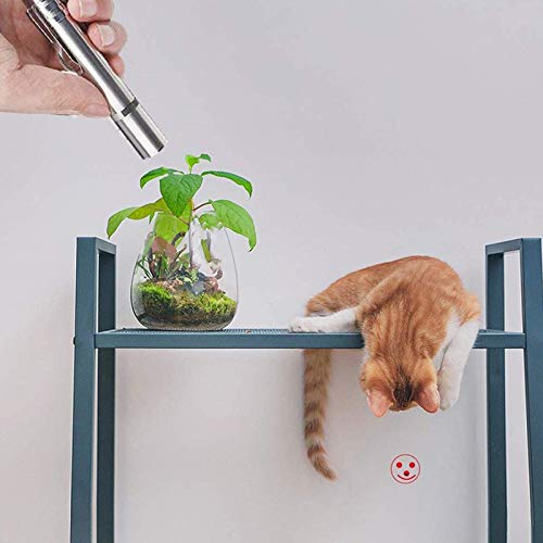Funny Pet Led Cat Toy Cat Chase Toy USB Recharge Portable Stainless Steel Pet Interactive Toy Cat Stick Pet Cat Supplies Attractive and Fashion - 3