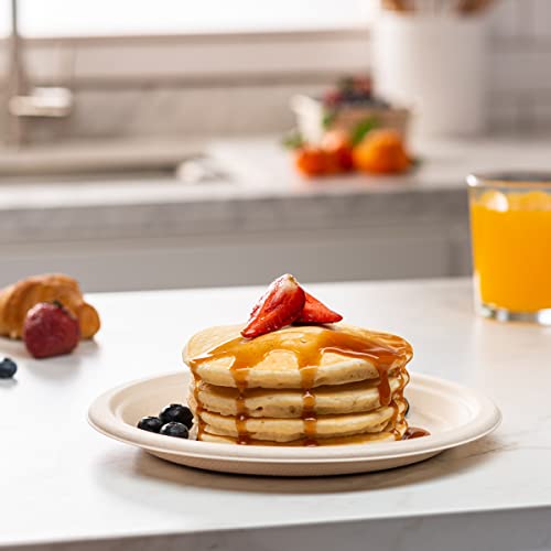 Image of GUSTO 9-Inch Heavy-Duty Kraft Paper Plates - [Case of 500], 100% Compostable & Biodegradable Disposable Sugarcane Plates, Brown Unbleached (Formerly Comfy Package)