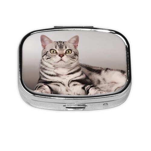 sP[X  gїp P[X s{bNX AJV[gwA L ` P[X  ܃P[X K TvgP[X TvP[X Vl q  sɕ֗RpNg ^