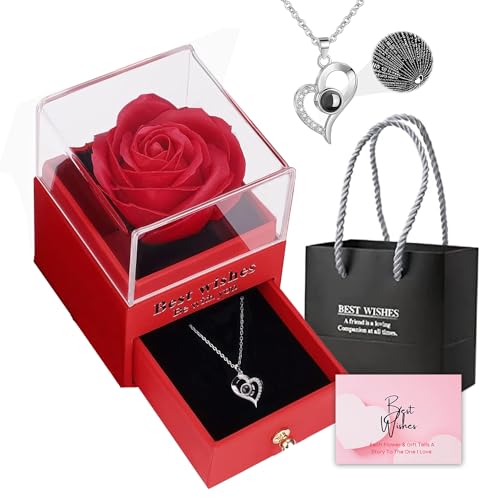 ascension Womens Valentines Day Silver Necklace Eternal Rose Gift Box with Heart Pendant Necklace Fresh Rose On Valentines Day, Anniversary Necklace for Gifts (B0CSSMW4Z4) Amazon Price History, Amazon Price Tracker