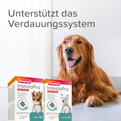BEAPHAR - IntestoPro Tabs Für Große Hunde - Mit Zeolith - Mit MOS & FOS - Unterstützt Das Gleichgewicht Der Darmfunktion - 20 Stück