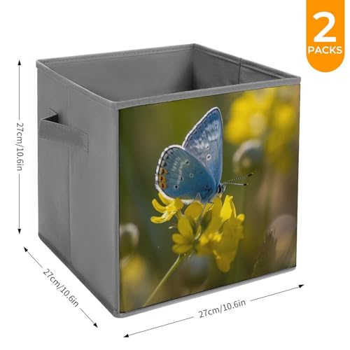 Boîtes de rangement pliables papillon pour optimiser un placard encombré - 3