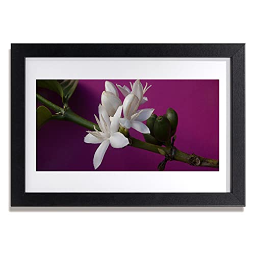 Cadre photo en MDF avec affiche de fleurs nature 30x20 cm décoration murale