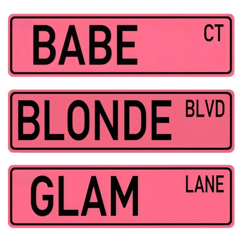 3Pcs Pink Glam Street Tin Signs, 16x4 Inch Babe Blonde Room Wall Decor