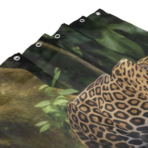 Rideau de douche imperméable anti-moisissure avec 12 crochets inclus