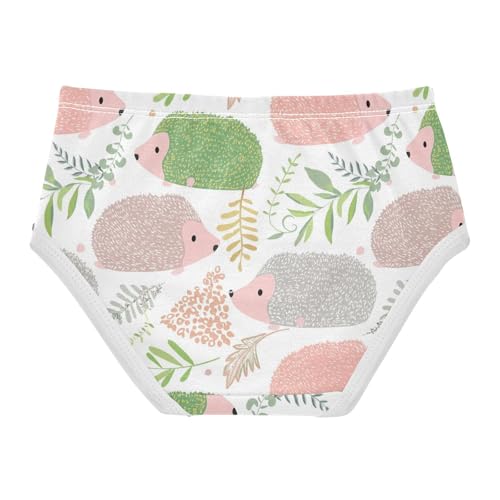 Joisal Cotton Toddler Girls Underwear Cute Hedgehogs Soft Colors White Little Girl Panties Personalized Briefs Underpants 2t2