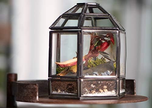 Urban Born Handmade Small Birdcage Glass Terrarium — 5" x 4" x 4" (Black)