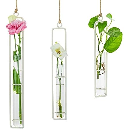 Amazon 花瓶 吊り下げ式試験管花瓶 ミニ花器 ガラス製 透明 フラワーベース 一輪挿し 水栽培 試験管 ガラス管 ミニ金属枠2個セット 水耕栽培 花瓶 ガラス花瓶 テラリウム容器 工芸 壁掛け花瓶 玄関廊下装飾花瓶金属フレーム S M L ホワイト 花器 インテリアボウル