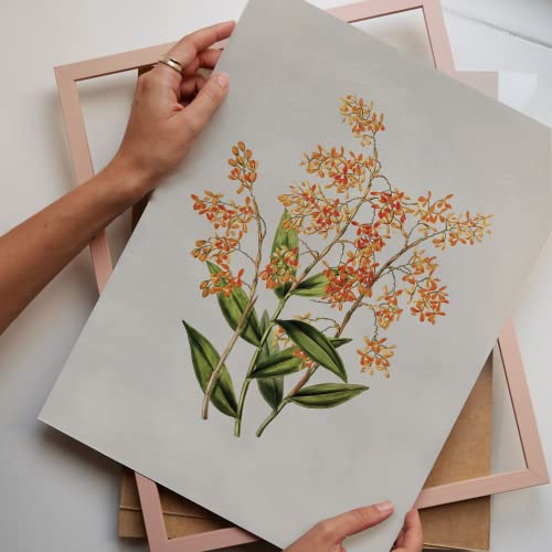 Set Of 9 French Country Prints Wall Decor - Landscape Wall Art French Country Decor, Vintage Wall Decor Gallery Wall Art, Large Bathroom Art Prints, Farmhouse Floral Vintage Art(11X14 IN UNFRAMED)