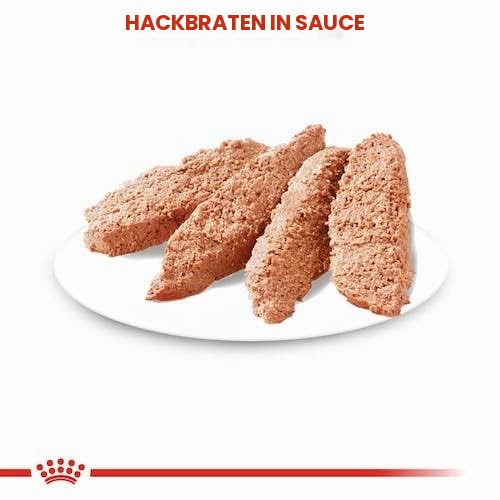 Royal Canin Digestive Care | Doppelpack | 2 x 12 x 85 g | Nassfutter für ausgewachsene Hunde | Ab dem 10. Lebensmonat | Für Hunde mit empfindlicher Verdauung geeignet