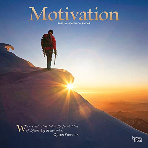 Télécharger Motivation 2020 Calendar: Foil Stamped Cover livre En ligne