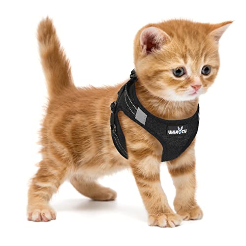 Wakytu Atmungsaktives Katzengeschirr mit Telefonetikett, Step-In Verstellbares Katzengeschirr, Reflektierendes Hundegeschirr für Spaziergänge, Allwetter-Mesh Haustiergeschirr Fit Extra Kleine Katzen Cover