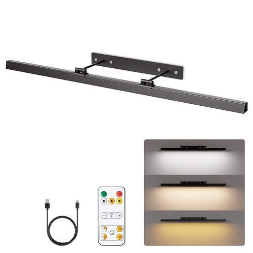 Luz de imagen inalámbrica sin cables para iluminar marcos oscuros con mando