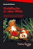goldfische stream  Goldfische in aller Welt: Haltung, Zuchtformen und Geschichte der ältesten Aquarienfische der Welt (Auflage 2020)