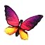 Rose Red Butterfly