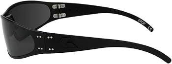 GATORZ WRAPTOR ブラックフレーム(偏光スモーク) ○○ゲイターズ/ラプター ブラックアウト 偏光スモークグレー