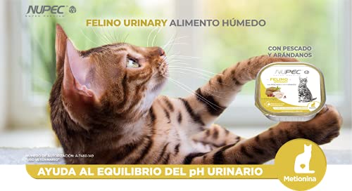 Opiniones de Nupec gato , tabla con los diez mejores. 15 Imagen adicional