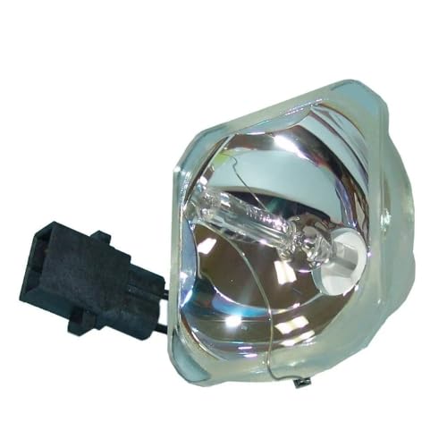 Ampoule ELPLP67 pour projecteur PowerLite Home Cinema 500 et EX5210 VS210