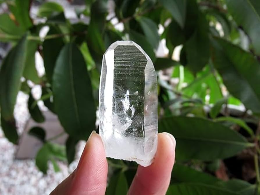 Amazon.co.jp: コロンビア産 レムリアンシードクリスタル 水晶