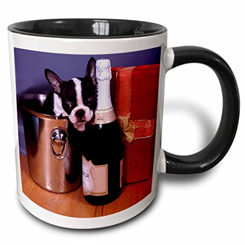 3dRose Dogs Boston Terrier - Satine 11oz Two-Tone Black Mug