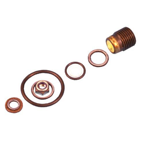 TRIDENT Genesis Valve Repair Kit with Bonnet