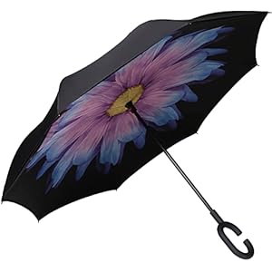 Amazon Brand – Eono Double Layer Inverted Umbrellas Reverse Folding Umbrella Self-Standing Windproof UV Protection Big…