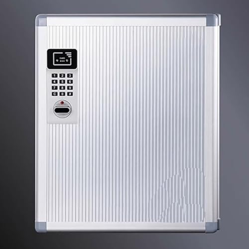 Caja de Seguridad para llaves con Código de Montaje en Pared, Armario para llaves con Etiquetas y 2 Cerraduras Electrónicas con Sensor, para Coche, Oficina, Casa, Garaje, Alquiler de Negocios(32keys(2