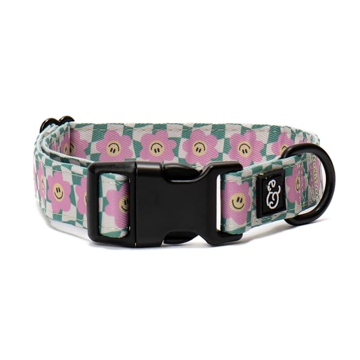Lucy & Co. Dog Collar - Durable Lightweight Designer Collar for Pets - Adjustable Metal Safety Buckel. (Just Chill Collar). — image 1