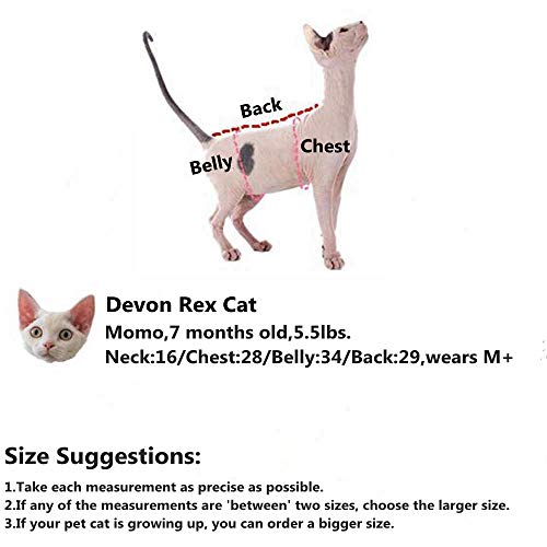 HAICHEN TEC Hairless Cats Stripe Camisole, Breathable Summer Sleeveless Vest Shirts for Sphynx, Cornish Rex, Devon Rex, Peterbald, Cat Wear Hairless Cat Clothes Soft Skin-Friendly Cats Apparel