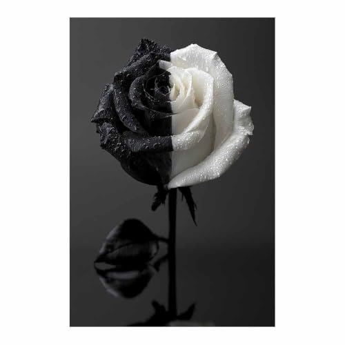 Affiche noir et blanc decoration interieure chambre et salle de bain affiche monochrome