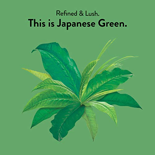 Choice Organics - Organic Japanese Green Tea (1 Pack) - Compostable - Contains Caffeine - 16 Organic Green Tea Bags #TOP1