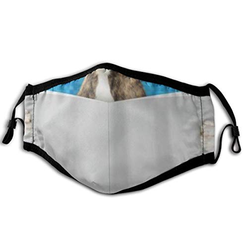 Gesichtsbedeckung Boxer Dog Read Book Mosaic Sturmhaube Unisex Wiederverwendbare Winddichte Anti-Staub-Mund Bandanas Halsmanschette mit 2