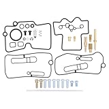 ApplianPar Carburetor Repair Rebuild Kit for Yamaha YZ450F 2003-2009 YZ250F 2003-2013