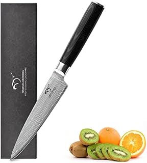 Damascus Kitchen Knives, Upgrade 67 Layers Damascus Steel Paring Knife Full Tang Japanese Knives, Sharp Fruit Cutting Kitchen Knife (5.5" Utility Knife)