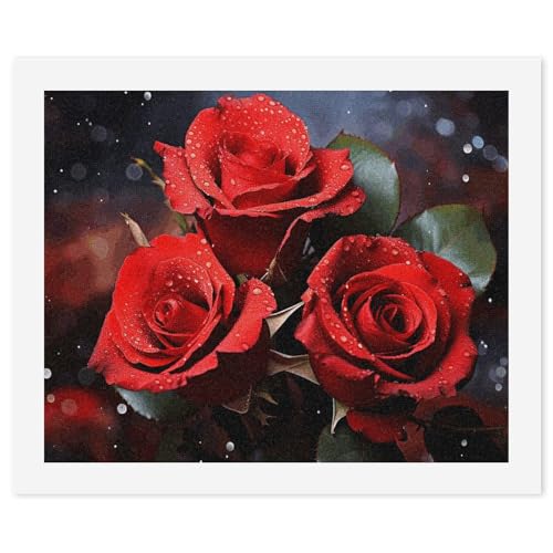 Pintura por números para adultos principiantes lienzo fácil de óleo digital rosas