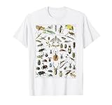 Ilustración de insectos