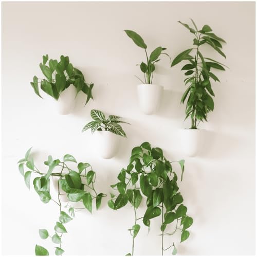 PlantPod Luxe - Self-Watering Wall Planters