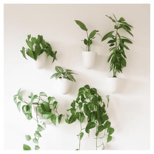 PlantPod Luxe - Self-Watering Wall Planters (Set of 6) - Easy to Water and Install - Lightweight - Design Your Own Vertical Garden - Wall Planters for Indoor Plants