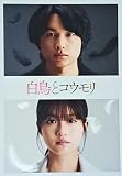 【チラシ付き、映画パンフレット】 白鳥とコウモリ 監督 岸善幸 出演 松村北斗、今田美桜、柄本佑、前原滉、中村芝翫